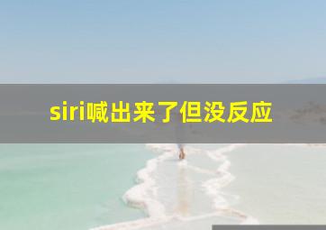 siri喊出来了但没反应