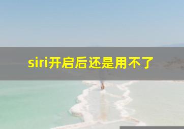 siri开启后还是用不了