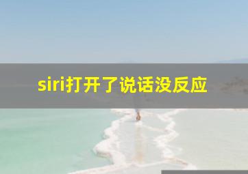 siri打开了说话没反应