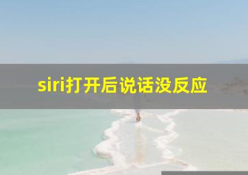 siri打开后说话没反应