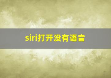 siri打开没有语音