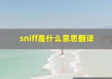 sniff是什么意思翻译