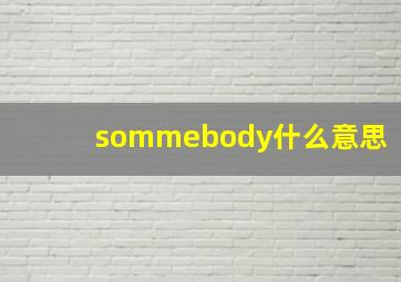 sommebody什么意思