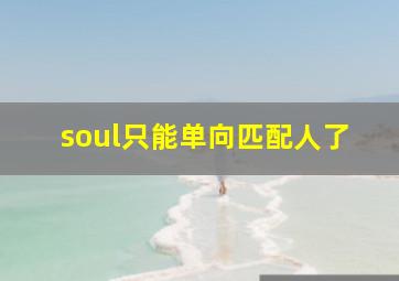 soul只能单向匹配人了