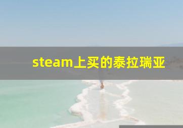 steam上买的泰拉瑞亚