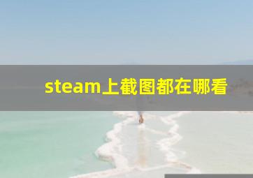 steam上截图都在哪看