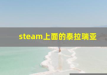 steam上面的泰拉瑞亚