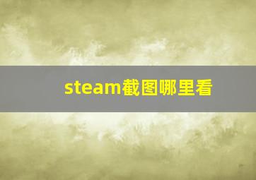 steam截图哪里看