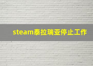 steam泰拉瑞亚停止工作