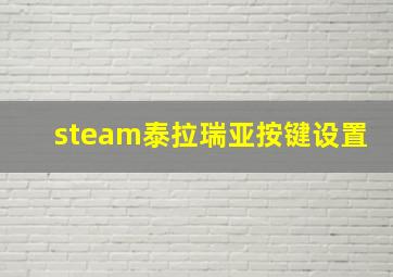 steam泰拉瑞亚按键设置