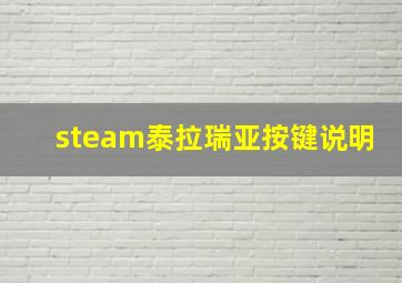 steam泰拉瑞亚按键说明