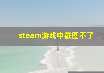 steam游戏中截图不了