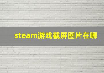 steam游戏截屏图片在哪