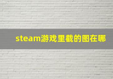 steam游戏里截的图在哪