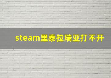 steam里泰拉瑞亚打不开