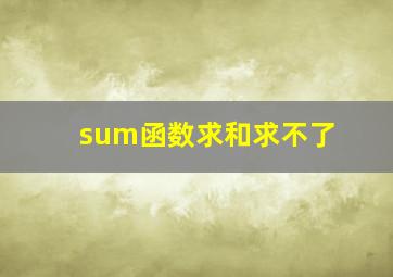 sum函数求和求不了