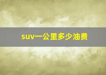 suv一公里多少油费