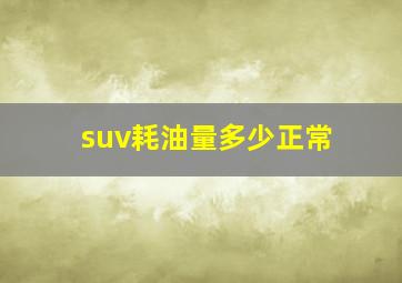 suv耗油量多少正常