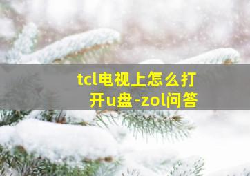 tcl电视上怎么打开u盘-zol问答