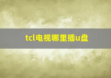 tcl电视哪里插u盘