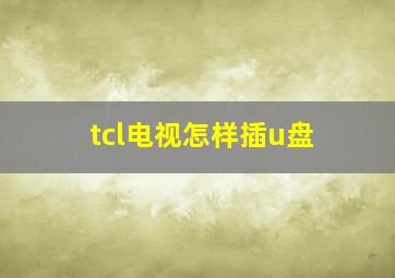 tcl电视怎样插u盘