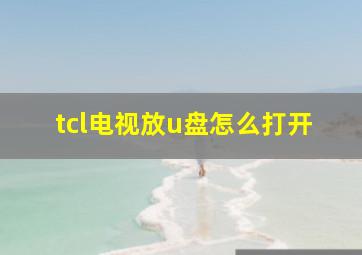 tcl电视放u盘怎么打开