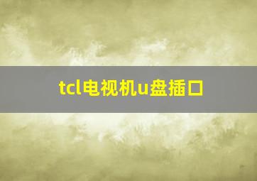 tcl电视机u盘插口