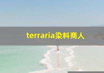 terraria染料商人