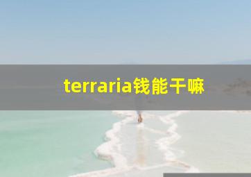 terraria钱能干嘛