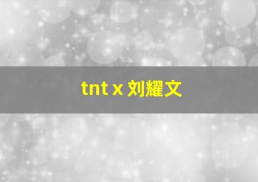 tntⅹ刘耀文