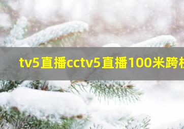 tv5直播cctv5直播100米跨栏