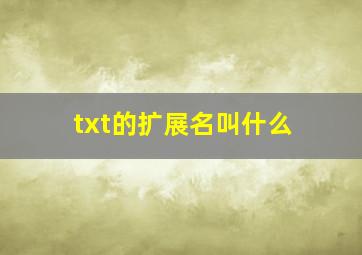 txt的扩展名叫什么