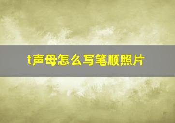 t声母怎么写笔顺照片