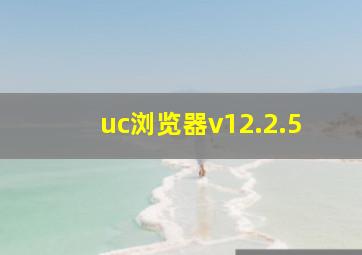 uc浏览器v12.2.5