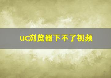 uc浏览器下不了视频