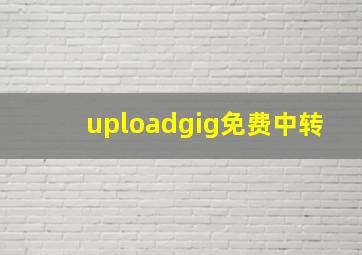 uploadgig免费中转