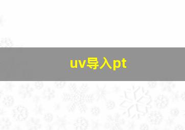 uv导入pt