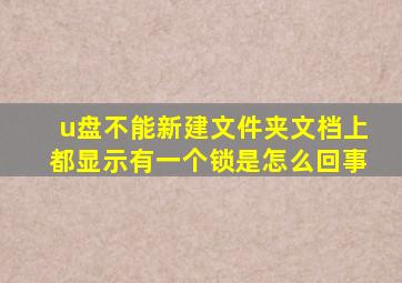 u盘不能新建文件夹文档上都显示有一个锁是怎么回事