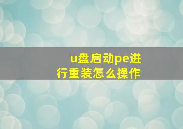 u盘启动pe进行重装怎么操作