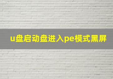 u盘启动盘进入pe模式黑屏