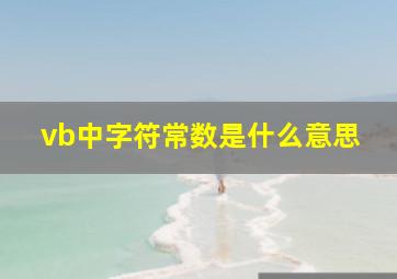 vb中字符常数是什么意思