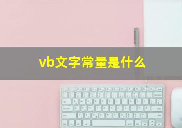 vb文字常量是什么