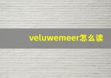 veluwemeer怎么读