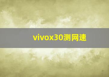 vivox30测网速