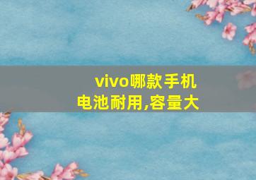 vivo哪款手机电池耐用,容量大