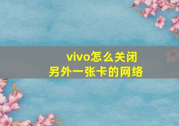 vivo怎么关闭另外一张卡的网络