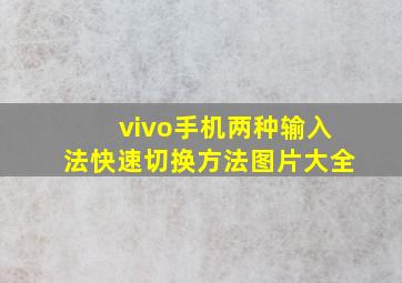 vivo手机两种输入法快速切换方法图片大全