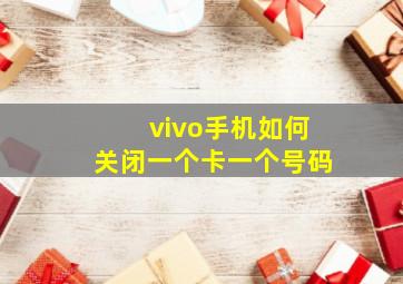 vivo手机如何关闭一个卡一个号码