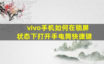 vivo手机如何在锁屏状态下打开手电筒快捷键