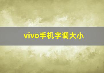 vivo手机字调大小